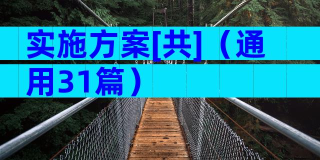 实施方案[共]（通用31篇）